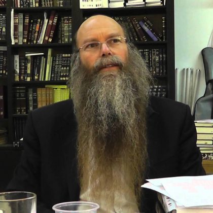הרב דוד דודקביץ' – שיעור לפסח 2