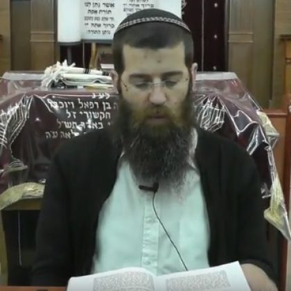 הר אור טאוב – פרשת בראשית